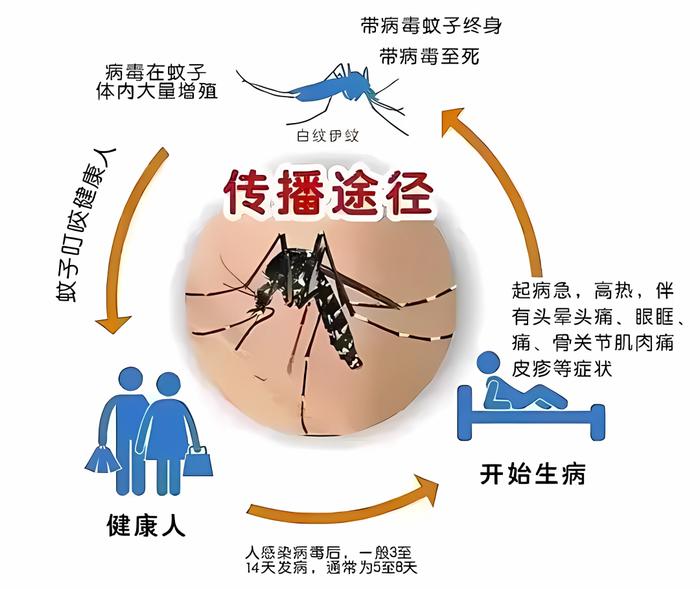 这类疾病处于高发季国家疾控局最新通知