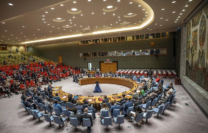 会上提议,瞄准2025年联合国成立80周年的时机进一步造势,就安理会改革