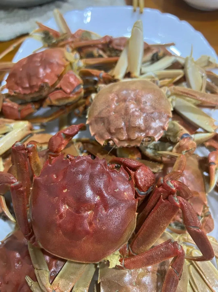 图源：时代周报