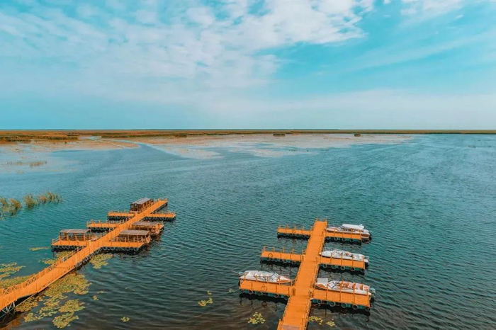 图源：时代周报