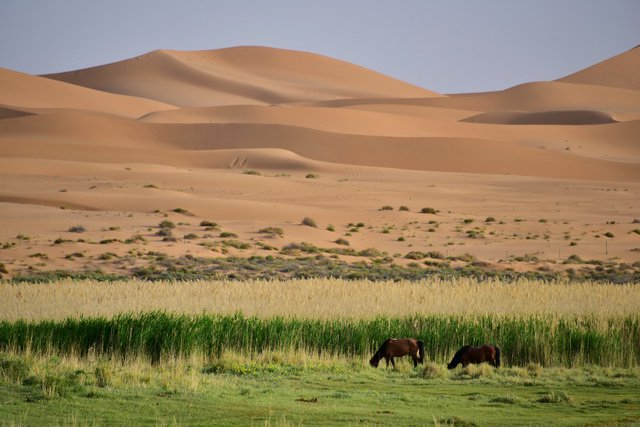 阿拉善地区自然风光。摄影/章轲