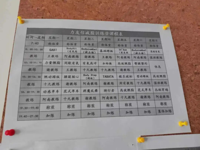 图 | 何瑞芳展示的课程表