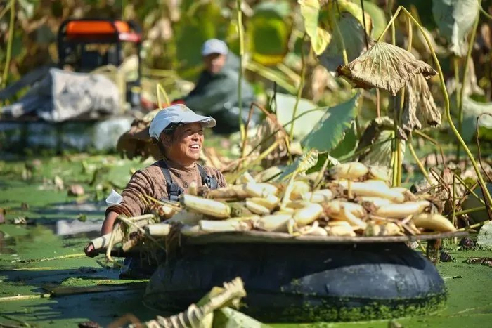 图源：新疆日报