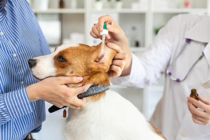 （图/图虫创意）