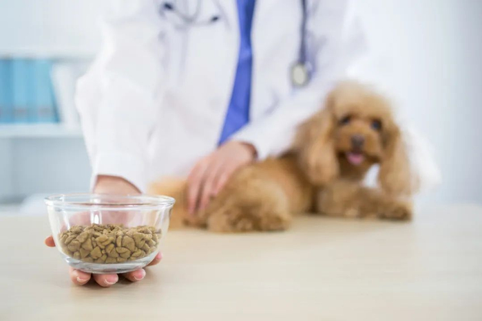 （图/图虫创意）