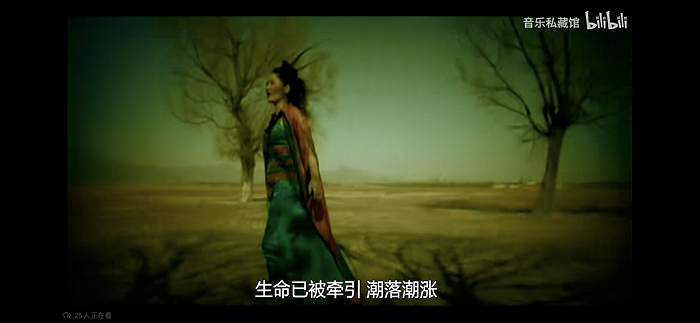 图源：B站@音乐私藏馆