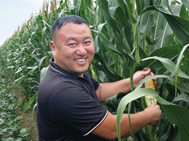 李江坡在种植基地察看玉米长势。