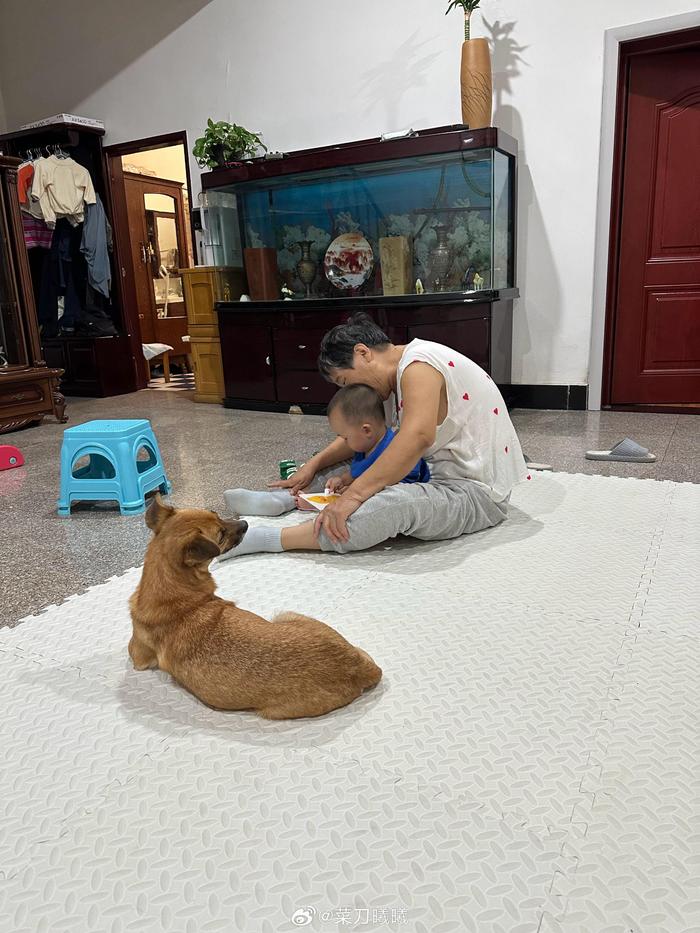 吃完饭奶奶给孩子讲绘本，焖焖在爬爬垫上趴着，非常岁月静好……