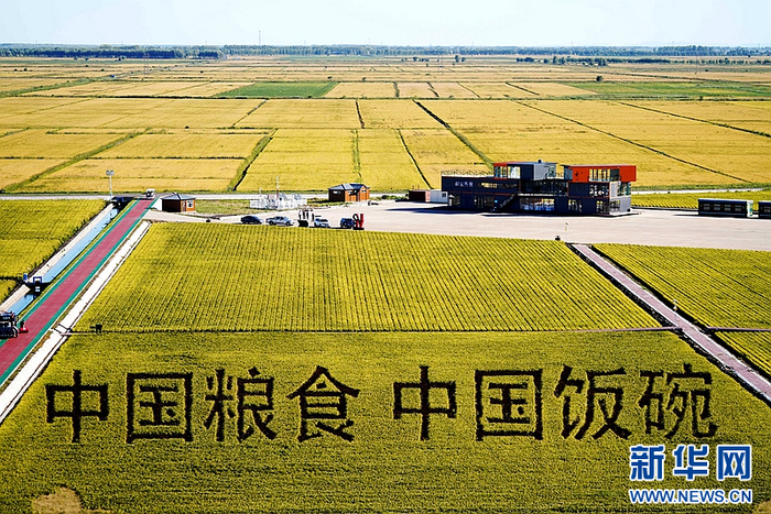 黑龙江省佳木斯富锦市万亩水稻科技示范园内的稻田画（2022年9月2日摄）。