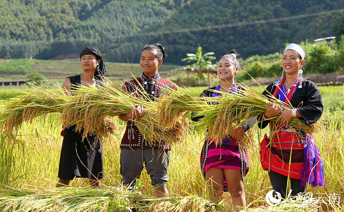 云南西盟将于中秋国庆假期举办佤族新米节__财经头条