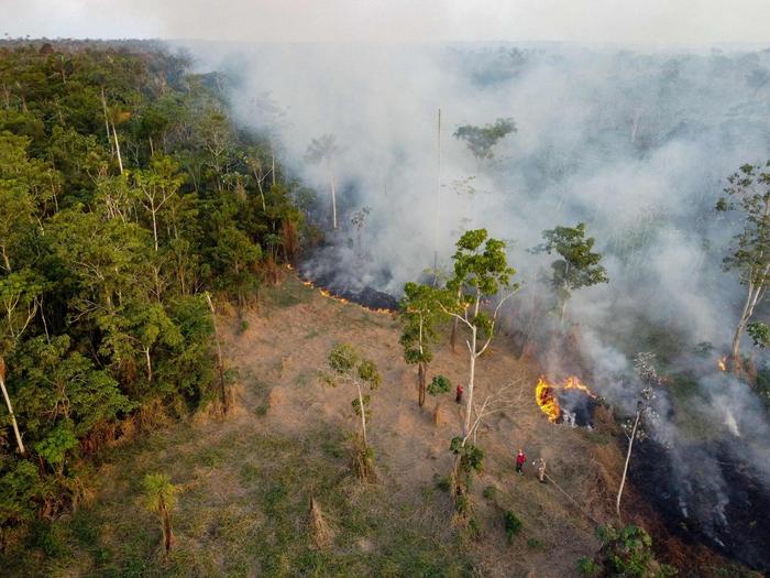 巴西亚马孙州发生森林火灾