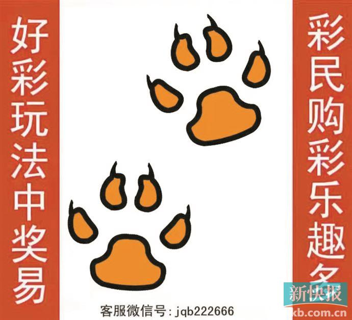 金钱豹自有真功夫|金钱豹|中奖|好彩_新浪新闻