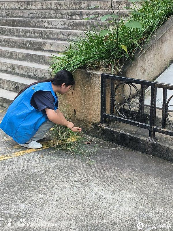 国庆只能在家带带