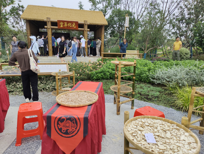 ▲毫州园元化草堂内，老中医正在给游客号脉。摄影/上游新闻记者 牛泰