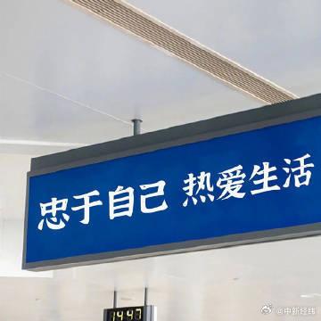 选择自己最喜欢的事， 把它做到极致， 才是人生最大的快乐……
