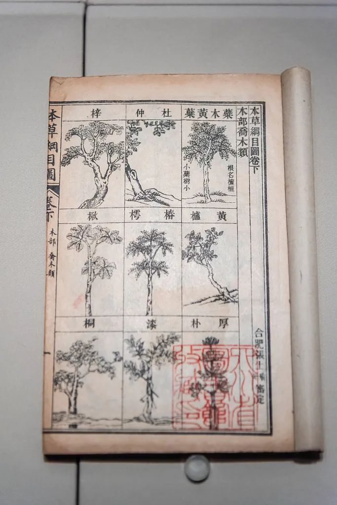 ▲民国石印本《本草纲目》的图卷。（图片来源：视觉中国）