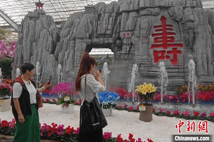 第23届中国青州花卉博览交易会开幕为双节赏花游预热