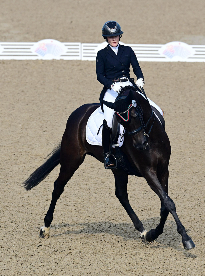 马术——盛装舞步个人赛赛况|马术|中国台北|阿联酋_新浪新闻