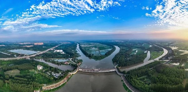 江苏沭阳县委书记解码中国花谷