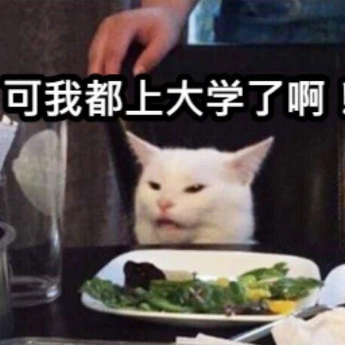 我都上大学了，爹妈还要进家长群，怎么办？