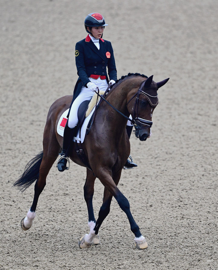 马术——盛装舞步个人赛完赛|马术|穆罕默德|马来西亚_新浪新闻