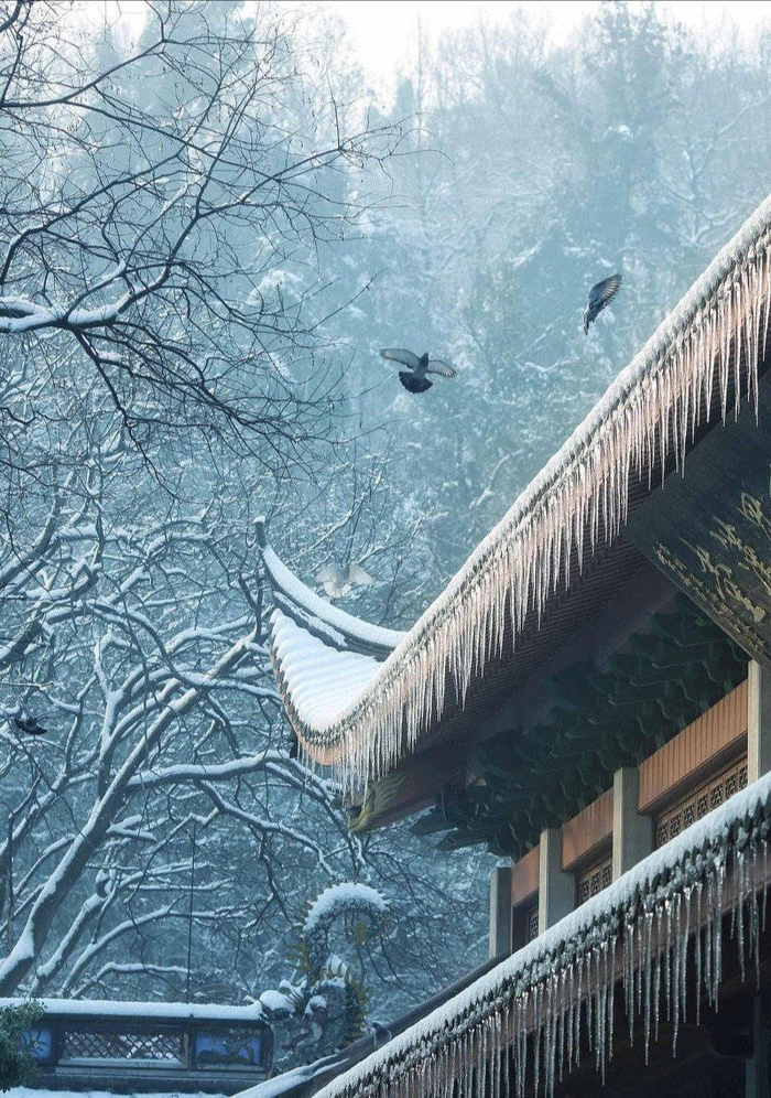 昨夜风雪落满头,今生未与卿白首……|风雪|艳阳|白头_新浪新闻