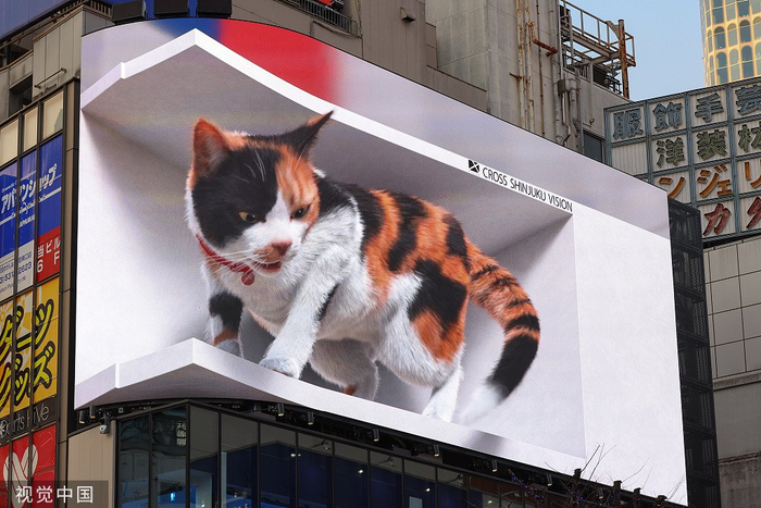 日本东京新宿街头的裸眼3D巨大猫咪 图片来源：视觉中国
