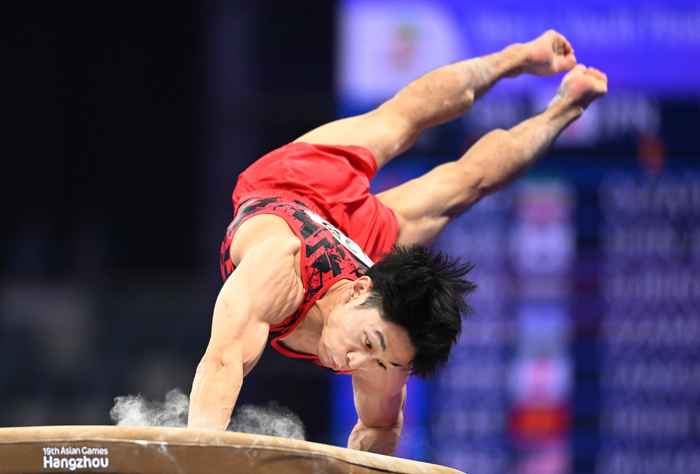 竞技体操——男子跳马决赛赛况