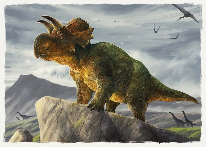 【恐龙王国】北美洲发现新角龙类|恐龙|化石|北美洲_新浪新闻