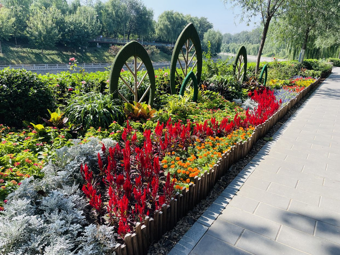       东门内花境“茁壮成长”     