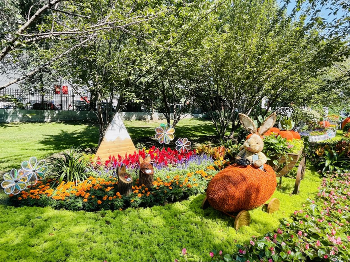       樱花园后山花境“丰收的季节”     