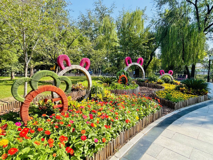       南门内花境“兔子爱萝卜”     