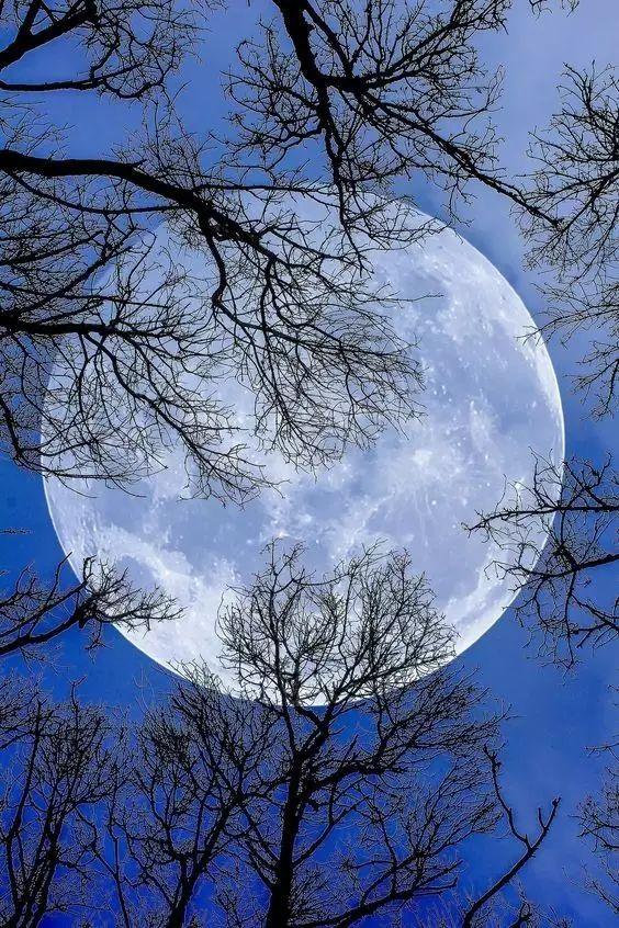 十六的月亮圆比喻爱情图片