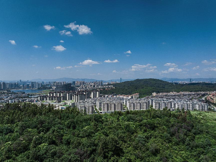 东市区实景鸟瞰图