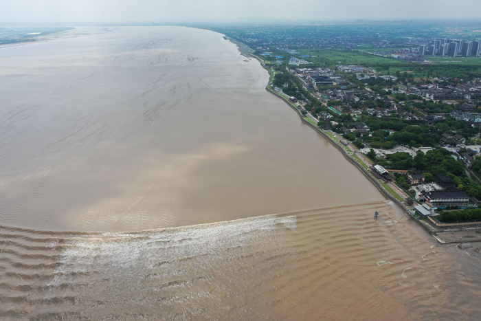 浙江省钱塘江流域中心的叶晓劼工程师介绍说,钱塘江大潮潮型多样,有