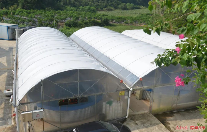 青秀区南阳镇南宁花雨湖生态休闲旅游区里的广西仁者虾水产养殖有限公司，该公司养殖基地拥有独立循环水养殖车间