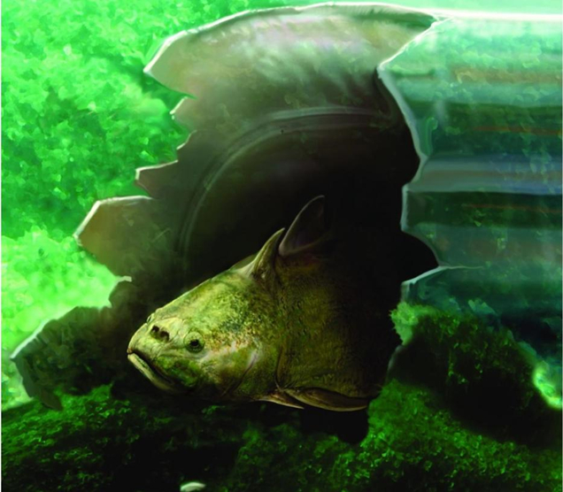 4.09 亿年前的热带珊瑚礁，一种棘胸鱼类隐藏在一个巨大的鹦鹉螺壳中寻找食物。图片来源：Jan Sovak