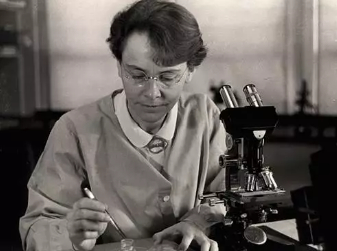 图｜1983 年诺贝尔生理学或医学奖获得者芭芭拉·麦克林托克（Barbara McClintock）