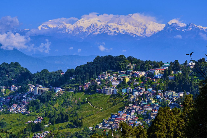 来份咖喱,再倒杯茶:大吉岭-喜马拉雅铁路上怎么吃|印度|咖喱_新浪新闻