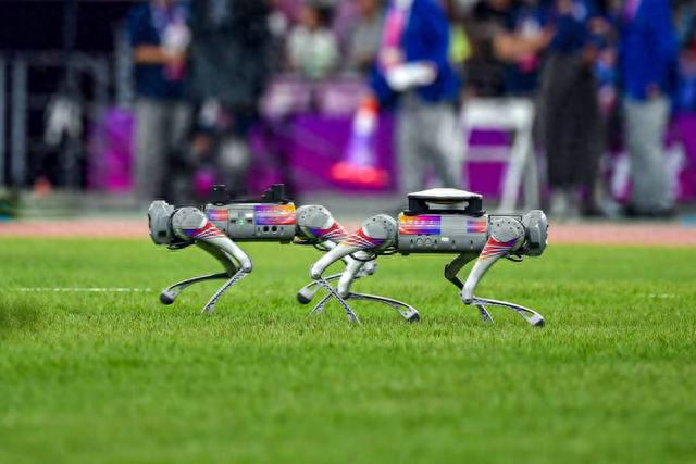 科技感满满的机器狗