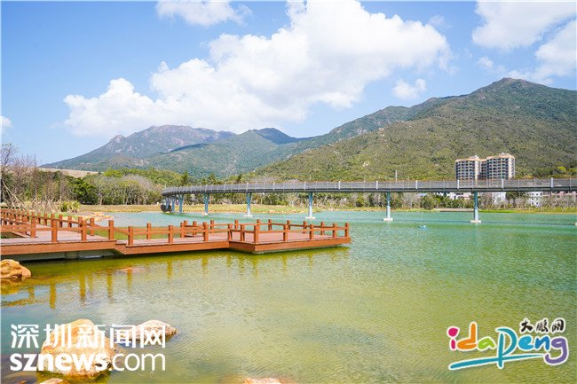 当'老地方见''269套餐'美团沐足暗号背后的消费心理学