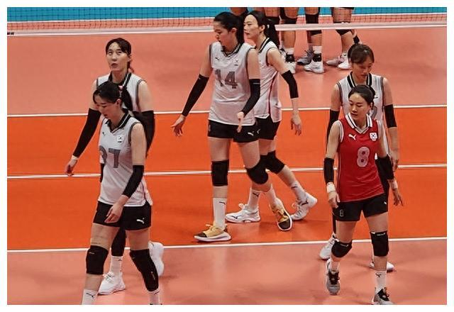 韩国女排|女排|朝鲜_新浪新闻