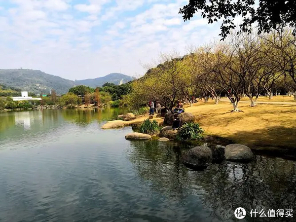 萝岗seo网站优化推广教程