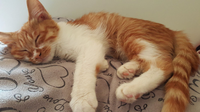 资料图。健康时报 图