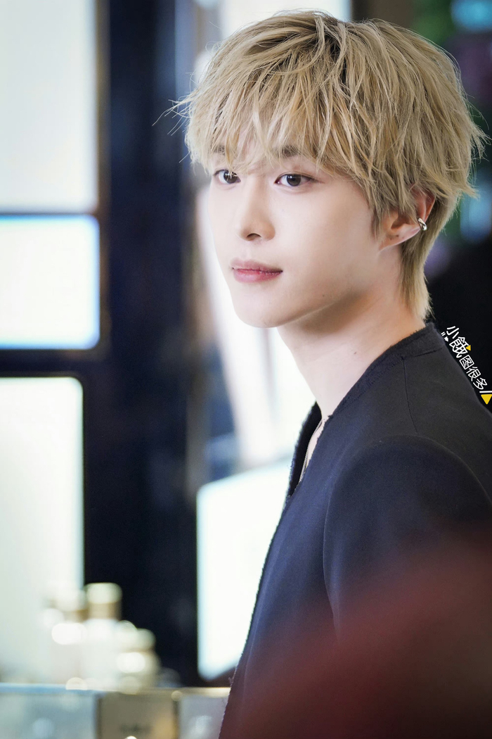 任何人都不能错过范丞丞的限定金发造型!|范丞丞|不能错过_新浪新闻