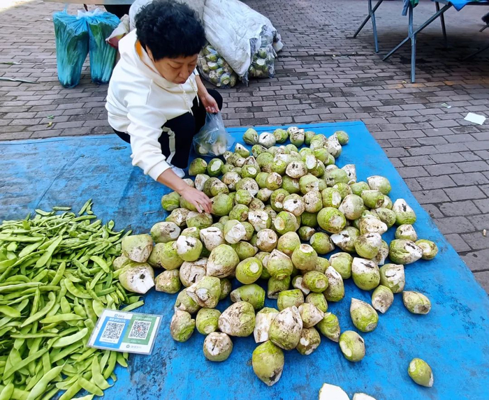 市民选购芥菜