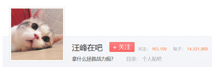 百度贴吧“汪峰在吧”就是很典型的战力痴聚集地