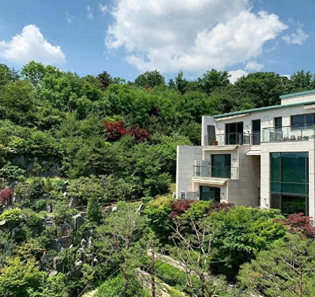 诈骗85亿,还可能偷税漏税,韩娱变天了吗|韩元|富商|金泰熙_新浪新闻