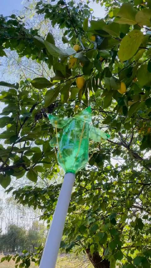 玩艺术做个摘果子神器