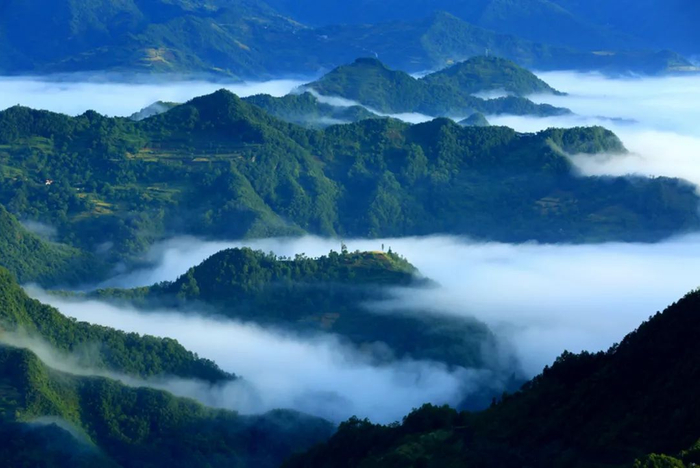 ▲康县白云山。